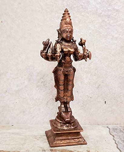 Vishnu Durgai  5.7 inches