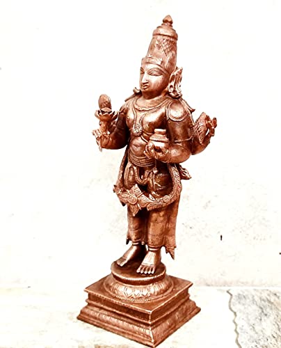 Dhanvantri 6.4 inches