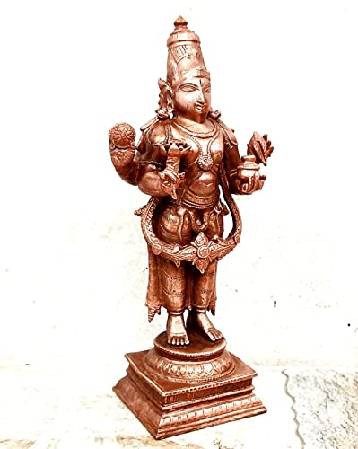 Dhanvantri 6.4 inches