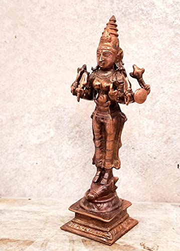 Vishnu Durgai  5.7 inches