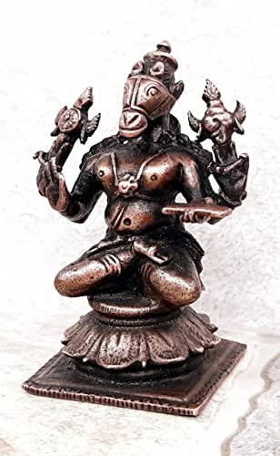 Hayagriva  2.9 inches