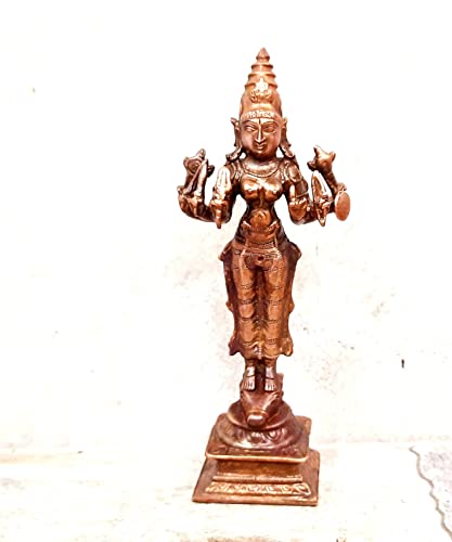 Vishnu Durgai  5.7 inches